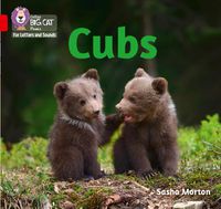 Cover image for Cubs: Band 02a/Red a