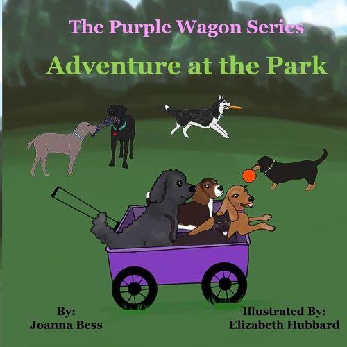 Cover image for Adventure at the Park