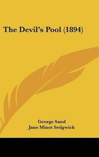 Cover image for The Devils Pool (1894)