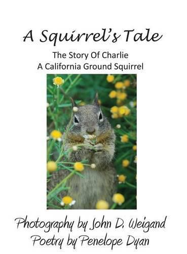 Cover image for A Squirrel's Tale, the Story of Charlie, a California Ground Squirrel