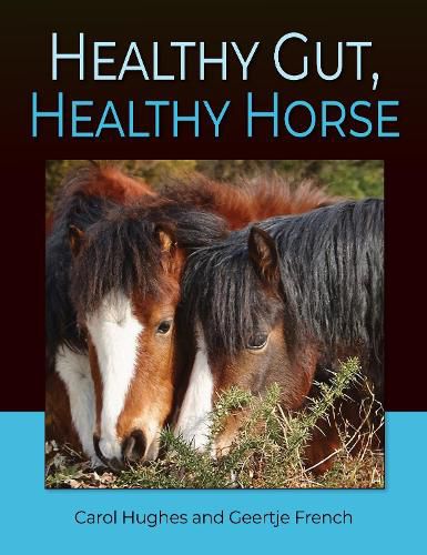Cover image for Healthy Gut, Healthy Horse