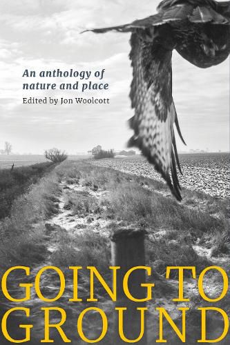 Cover image for Going to Ground