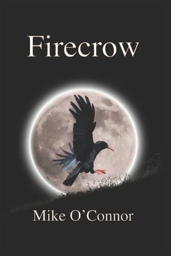 Cover image for Firecrow