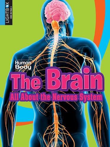 Cover image for The Brain: All about the Nervous System