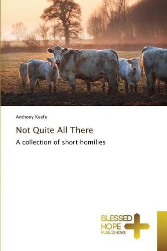 Cover image for Not Quite All There