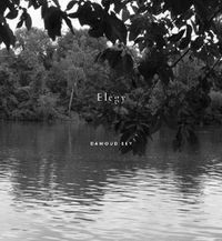 Cover image for Dawoud Bey: Elegy