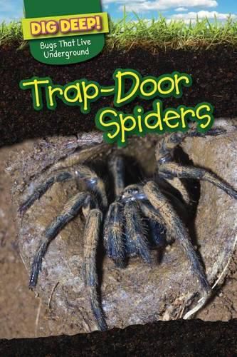 Trap-Door Spiders