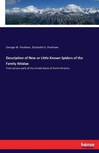 Description of New or Little Known Spiders of the Family Attidae: from various parts of the United States of North America