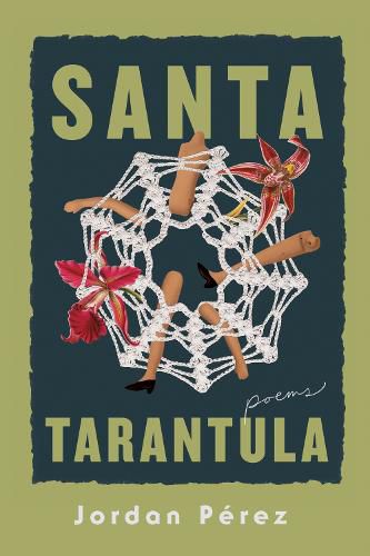 Cover image for Santa Tarantula