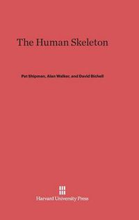 Cover image for The Human Skeleton