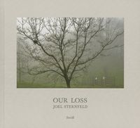 Cover image for Joel Sternfeld: Our Loss