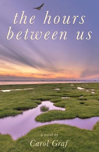 Cover image for The Hours Between Us