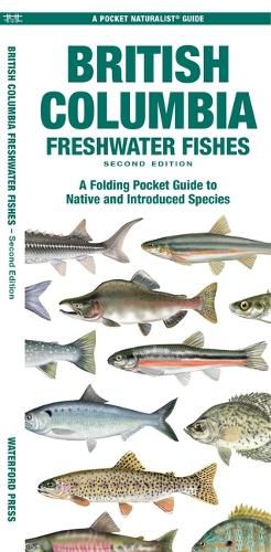 Cover image for British Columbia Freshwater Fishes, 2nd Ed
