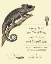 Cover image for Eye of Newt and Toe of Frog, Adder's Fork and Lizard's Leg: The Lore and Mythology of Amphibians and Reptiles