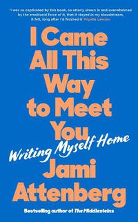 Cover image for I Came All This Way to Meet You