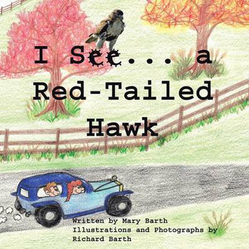 Cover image for I See . . . a Red-Tail Hawked