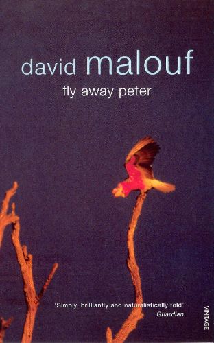 Cover image for Fly Away Peter