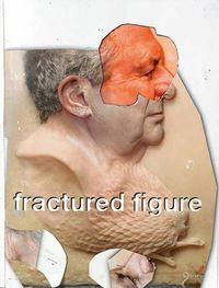 Cover image for Fractured Figure