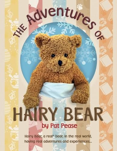 Cover image for The Adventures of Hairy Bear