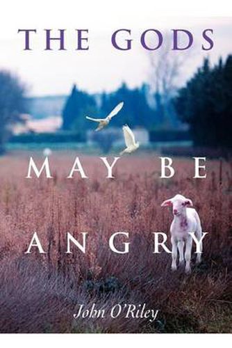 Cover image for The Gods May Be Angry
