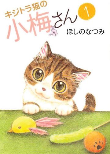 Cover image for Plum Crazy! Tales of a Tiger-Striped Cat Vol. 1