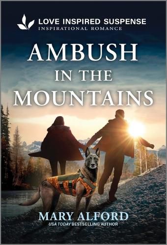 Ambush in the Mountains