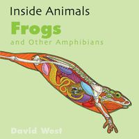 Cover image for Frogs and Other Amphibians
