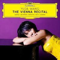Cover image for The Vienna Recital
