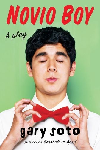 Cover image for Novio Boy: A Play