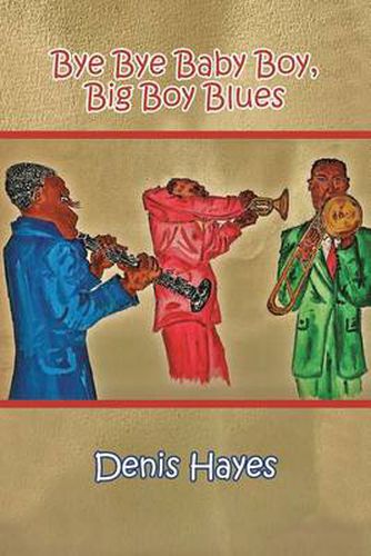 Cover image for Bye Bye Baby Boy, Big Boy Blues