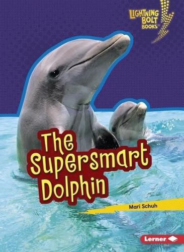 Cover image for The Supersmart Dolphin