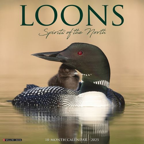 Cover image for Loons 2026 12 X 12 Wall Calendar