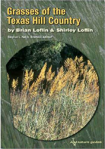 Cover image for Grasses of the Texas Hill Country: A Field Guide