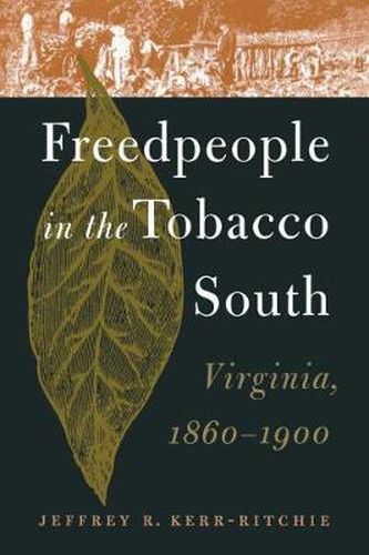 Cover image for Freedpeople in the Tobacco South: Virginia, 1860-1900