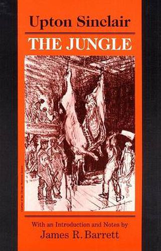 Cover image for The Jungle