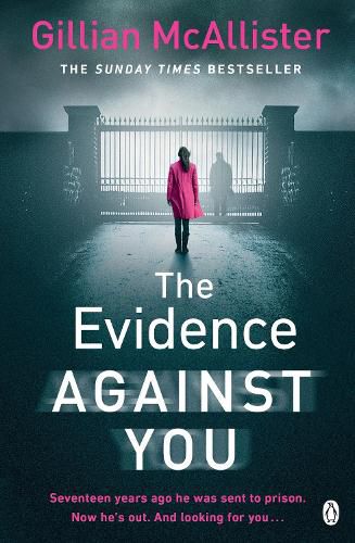 Cover image for The Evidence Against You: The gripping bestseller from the author of Richard & Judy pick That Night