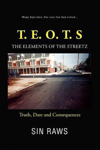 Cover image for The Elements of the Streetz