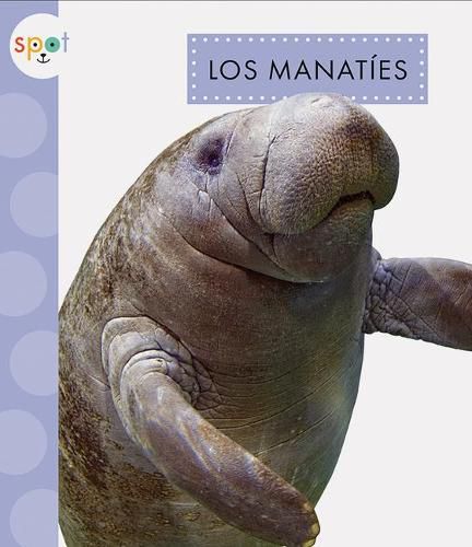 Cover image for Los Manaties
