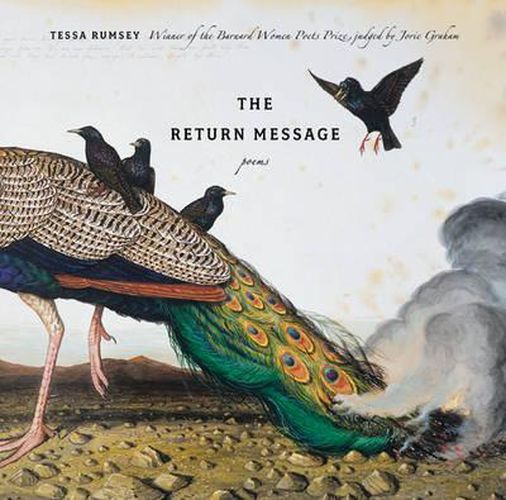 Cover image for The Return Message: Poems