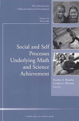 Cover image for Social and Self Processes Underlying Math and Science Achievement