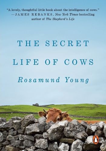 Cover image for The Secret Life of Cows