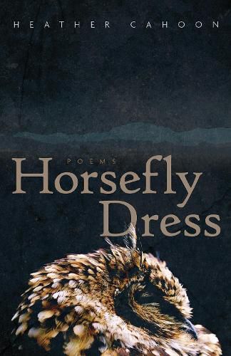 Cover image for Horsefly Dress: Poems