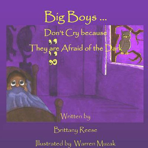 Cover image for Big Boys Don't Cry Because They are Afraid of the Dark