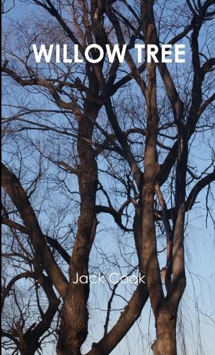 Cover image for Willow Tree