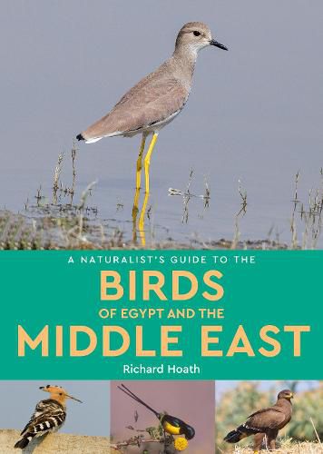 Cover image for A Naturalist's Guide to the Birds of Egypt and the Middle East