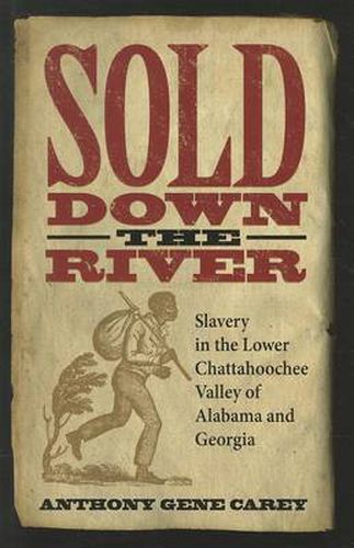 Cover image for Sold Down the River: Slavery in the Lower Chattahoochee Valley of Alabama and Georgia