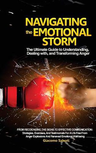 Cover image for Navigating the Emotional Storm