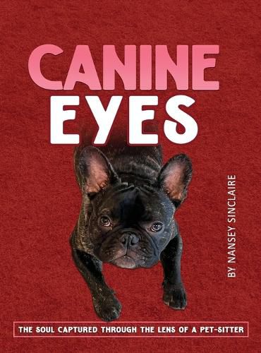 Cover image for Canine Eyes