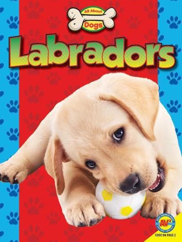 Labradors