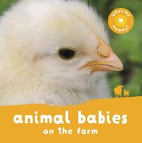 Cover image for Animal Babies on the Farm